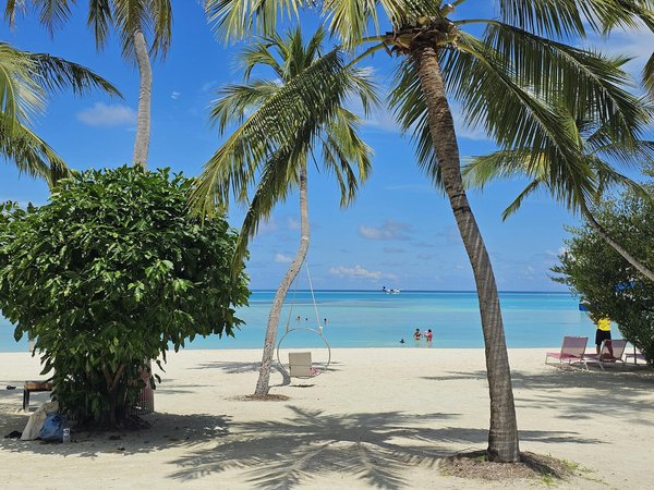 Quels sont les meilleurs spots pour une plongée sous-marine dans la mer Rouge?